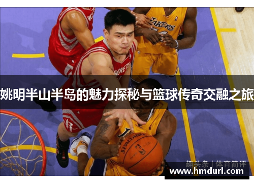 姚明半山半岛的魅力探秘与篮球传奇交融之旅