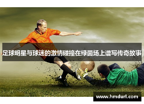 足球明星与球迷的激情碰撞在绿茵场上谱写传奇故事